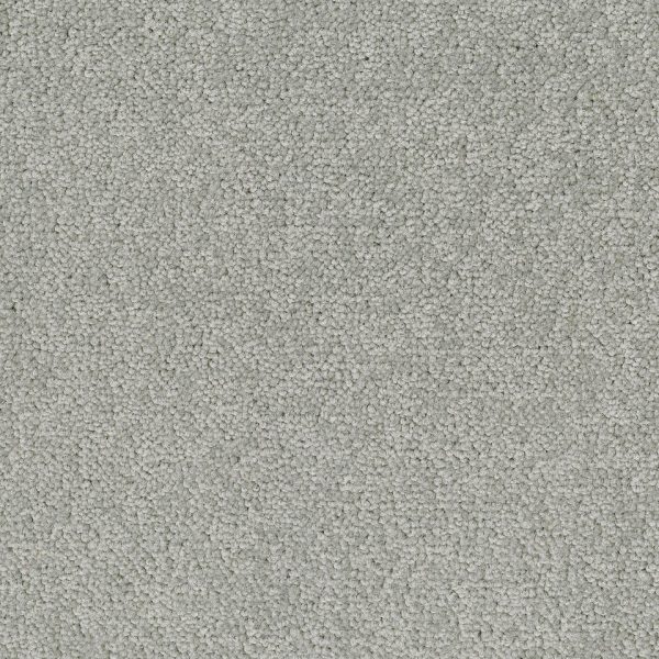 PALATINO BROADLOOM - Imagen 2