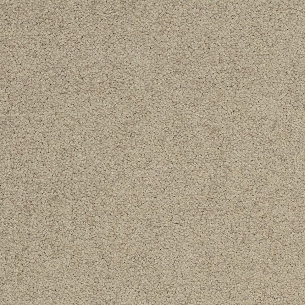 PALATINO BROADLOOM - Imagen 17