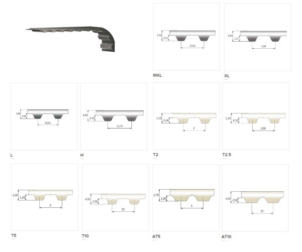 DENTADAS SINCRONAS