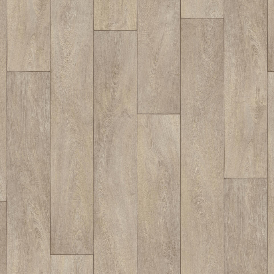 ICONIK 260 - Imagen 110