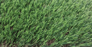 césped artificial premium